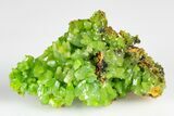 Apple-Green Pyromorphite Crystal Cluster - China #179806-1